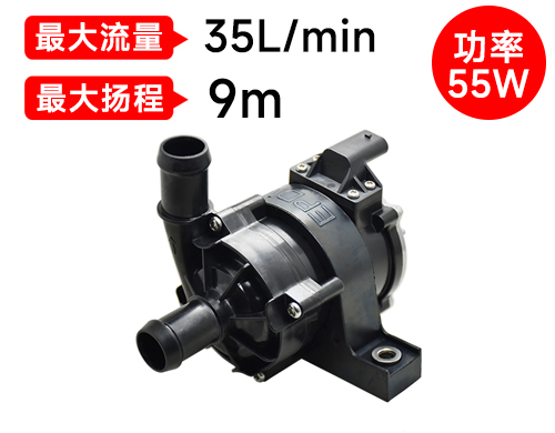 P6219